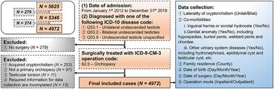 Ambulatory Orchidopexy Is a Potential Solution to Improve the Rate of Timely Repair in Cryptorchid Boys: An 8 Year Retrospective Study of 4,972 Cases